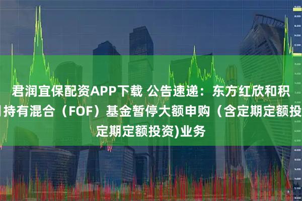 君润宜保配资APP下载 公告速递：东方红欣和积极3个月持有混合（FOF）基金暂停大额申购（含定期定额投资)业务